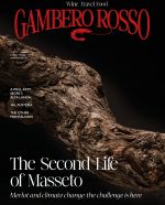 Wine Travel Food - January/February 2025